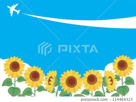 夏季框架飛機向日葵天空背景插畫素材 114464323