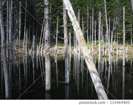 日高町的黑池 日高町的黑池 114464905