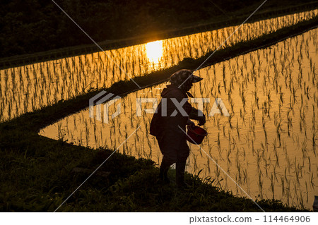 Grandma of the rice terraces Grandma of the rice terraces 114464906