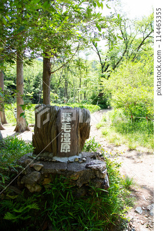 Entrance to the Ashimo Marsh (Toyohashi City, Aichi Prefecture) Entrance to the Ashimo Marsh (Toyohashi City, Aichi Prefecture) 114465355