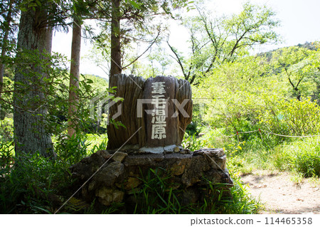 Entrance to the Ashimo Marsh (Toyohashi City, Aichi Prefecture) Entrance to the Ashimo Marsh (Toyohashi City, Aichi Prefecture) 114465358