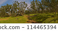Beautiful scenery on Reunion Island on the way to the mountains. 114465394