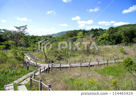 Ashimo Marsh (Toyohashi City, Aichi Prefecture) Ashimo Marsh (Toyohashi City, Aichi Prefecture) 114465429