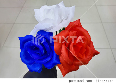 Three artificial roses white blue red are held by a hand. The symbol is the Day of Russia 114465458