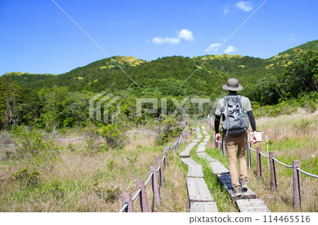 Ashimo Marsh (Toyohashi City, Aichi Prefecture) 114465516