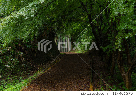 The road to Nanao Castle The road to Nanao Castle 114465579