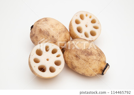Lotus root lotus root 114465792