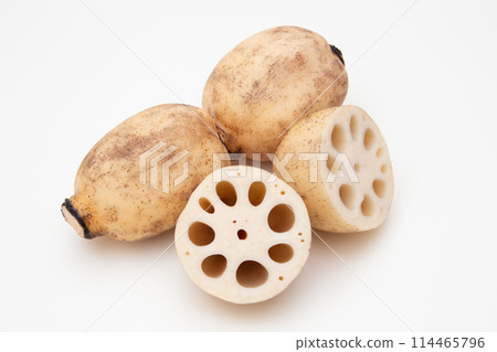 蓮藕蓮藕 114465796