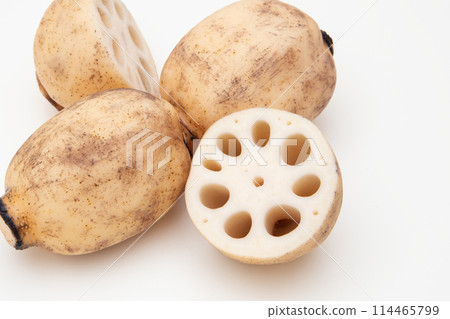 Lotus root lotus root 114465799
