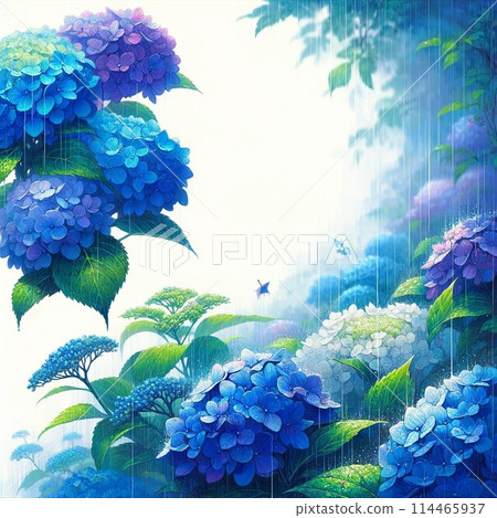 水彩畫的繡球花框架 水彩畫的繡球花框架 114465937