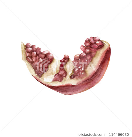 Pomegranate slice with seeds watercolor illustration. Fresh exotic fruit, healthy super food hand drawn painting for product packing, juice decor, summer coctail 114466080