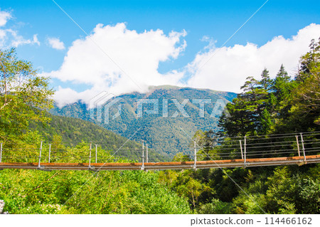 美麗的穗高聯邦和吊橋 114466162
