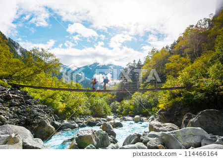 A valley and a suspension bridge surrounded by fresh greenery 114466164