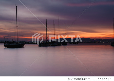 Photograph of early morning Otsu-shi, Shiga Prefecture Yanagi taken Saki Yacht Harbor Photograph of early morning Otsu-shi, Shiga Prefecture Yanagi taken Saki Yacht Harbor 114466342