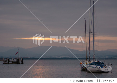 Photograph of early morning Otsu-shi, Shiga Prefecture Yanagi taken Saki Yacht Harbor Photograph of early morning Otsu-shi, Shiga Prefecture Yanagi taken Saki Yacht Harbor 114466397