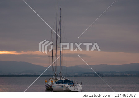 Photograph of early morning Otsu-shi, Shiga Prefecture Yanagi taken Saki Yacht Harbor Photograph of early morning Otsu-shi, Shiga Prefecture Yanagi taken Saki Yacht Harbor 114466398