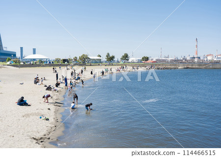 在東荻島東公園的人工海灘(川崎之濱)採蛤 在東荻島東公園的人工海灘(川崎之濱)採蛤 114466515