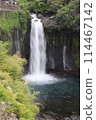 Waterfall shining in fresh green 114467142