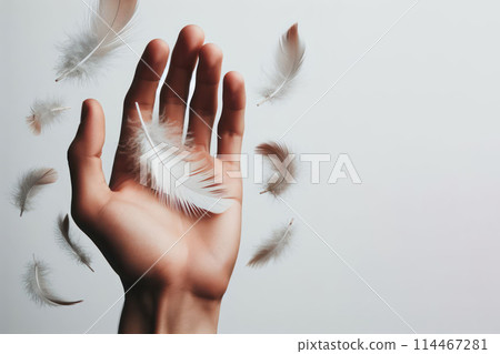 Feathers falling on the hand. Space for text. 114467281