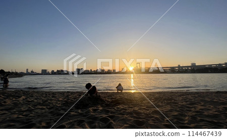 people playing on the beach at sunset 114467439