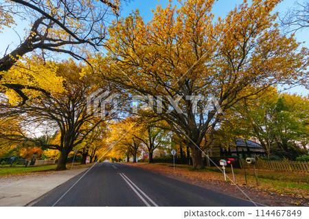 Glenlyon Main Street in Victoria Australia Glenlyon Main Street in Victoria Australia 114467849