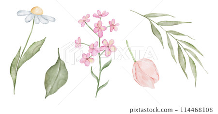 Set of watercolor elements flower collection. Hand drawn floral illustrations isolated on white background 114468108