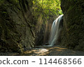 閃閃發亮的綠色瀑布（秩父/Konokami瀑布）2 114468566