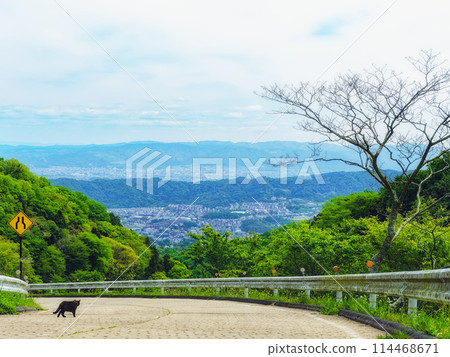 [Ikoma City, Nara Prefecture / Kurogo Nara Highway] View of Nara cityscape from Kurogo Pass (Nara side) with Kuroneko 114468671