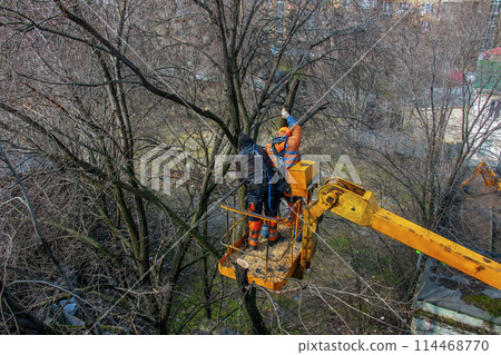Municipal service workers stand with a chainsaw in a crane basket and trim dangerous trees 114468770
