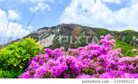 Mount Eboshi and Miyamakirishi flowers seen from the Aso Panorama Line Road (Road to Mount Aso's Nakadake and Aso Crater) 114469122