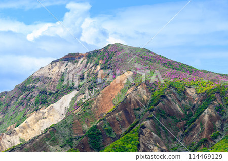 從阿蘇全景線道路(通往中嶽山、阿蘇火山口的道路)可以看到的烏帽山和烏帽山的花 從阿蘇全景線道路(通往中嶽山、阿蘇火山口的道路)可以看到的烏帽山和烏帽山的花 114469129