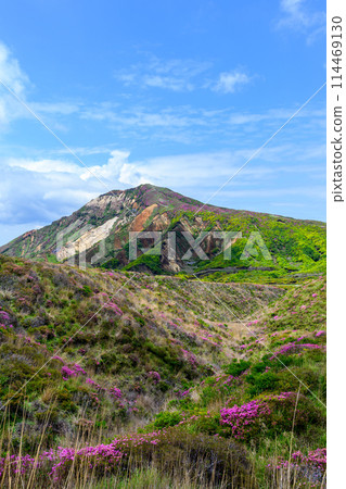從阿蘇全景線道路（通往中嶽山、阿蘇火山口的道路）可以看到的烏帽山和烏帽山的花 114469130