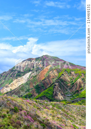 從阿蘇全景線道路（通往中嶽山、阿蘇火山口的道路）可以看到的烏帽山和烏帽山的花 114469131