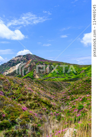 從阿蘇全景線道路（通往中嶽山、阿蘇火山口的道路）可以看到的烏帽山和烏帽山的花 114469145
