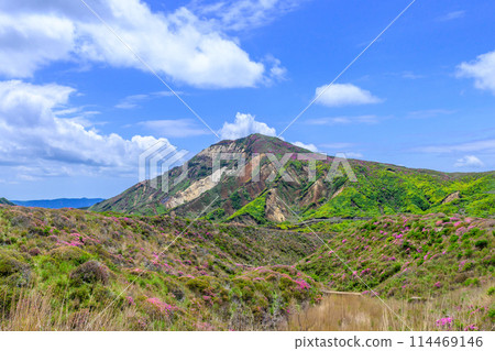 Mount Eboshi and Miyamakirishi flowers seen from the Aso Panorama Line Road (Road to Mount Aso's Nakadake and Aso Crater) 114469146