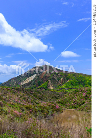 從阿蘇全景線道路（通往中嶽山、阿蘇火山口的道路）可以看到的烏帽山和烏帽山的花 114469219