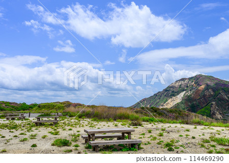 Miyamakirishi flowers stand out against the fresh greenery as seen from the Aso Panorama Line (the road to Mt. Aso Nakadake and the Aso Crater) 114469290
