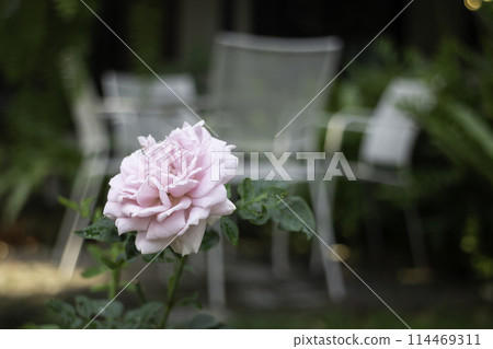 Garden seats in a coffee cafe concept of relaxing 114469311