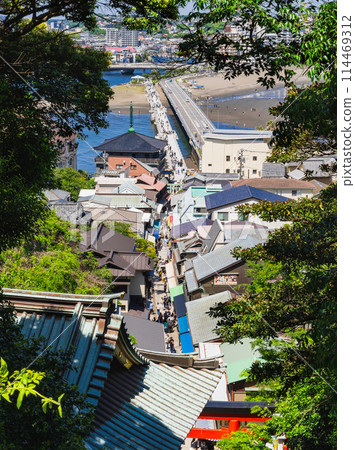 Enoshima Shrine: Approach and Enoshima Bridge 114469312