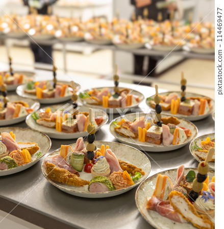 Assorted gourmet appetizers 114469477