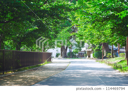 萬代池公園風景 萬代池公園風景 114469794