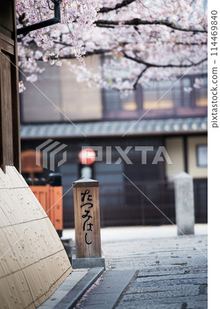 Gion Shirakawa's spring Gion Shirakawa's spring 114469840