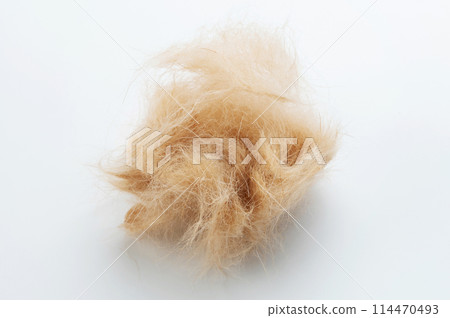 Brown dog tuft ball 114470493