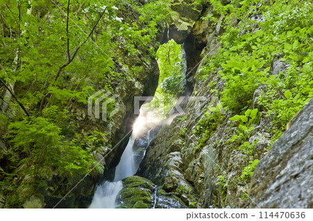 從洞中閃耀的瀑布（秩父九重三四郎瀑布）1 114470636