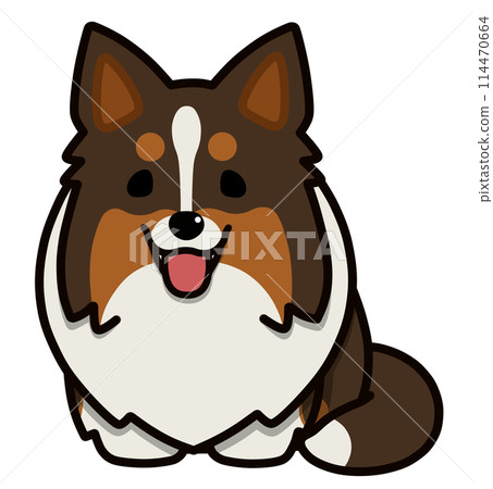 Sheltie with upright ears (tri-color) sitting with mouth open Sheltie with upright ears (tri-color) sitting with mouth open 114470664