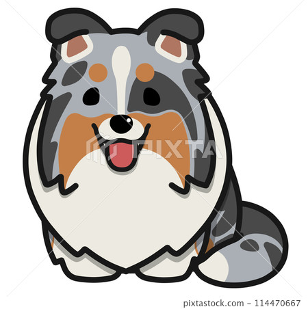 一隻垂耳喜樂蒂犬（藍色隕石色）張著嘴坐著。 114470667