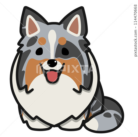 一隻立耳喜樂蒂（藍色隕石色）張著嘴坐著 114470668