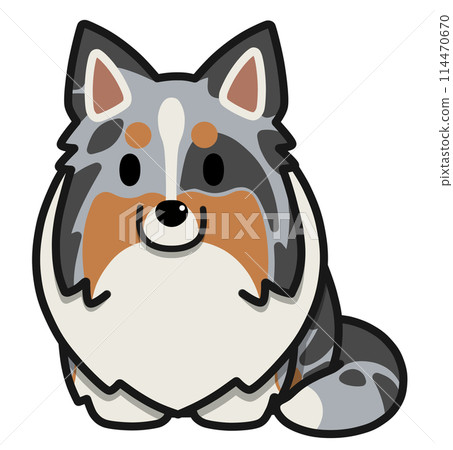 Sitting sheltie with upright ears (blue merle) Sitting sheltie with upright ears (blue merle) 114470670