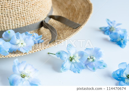 Blue flowers and straw hats that evoke summer Blue flowers and straw hats that evoke summer 114470674