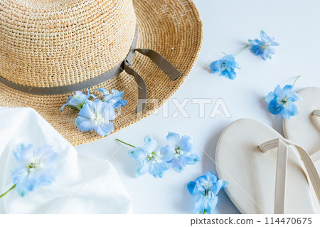 Blue flowers and straw hats that evoke summer Blue flowers and straw hats that evoke summer 114470675